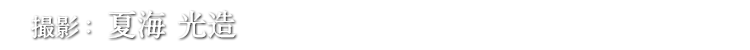 撮影：夏海 光造 